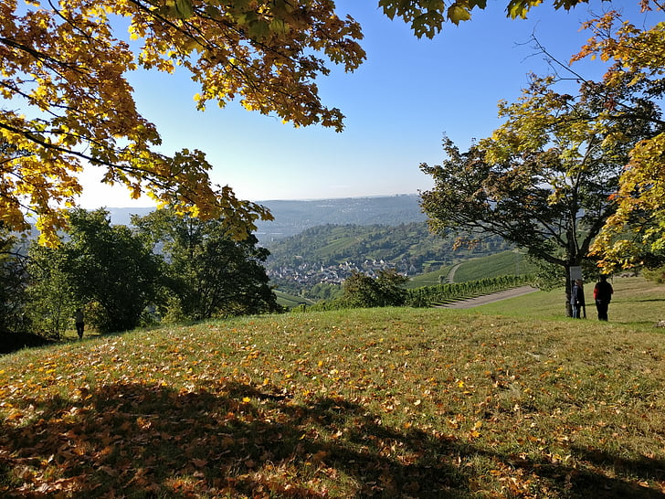 Stuttgart, automne, nature, montagnes, Fellbach