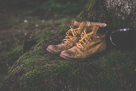 botas, taza, luz del día, calzado, hierba, senderismo, botas de montaña