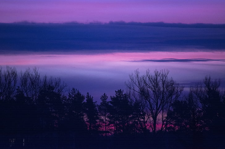 clouds, forest, landscape, lilac, purple, serene, sunrise
