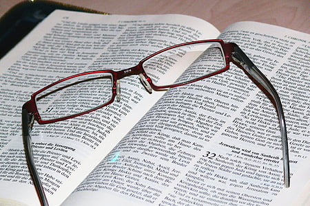 Bible, lunettes, lire, étude, Bibliothèque, livre, livres