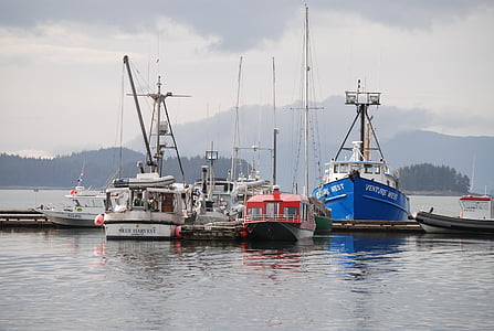 juno alaska, fishing boats, juno harbor, boats, harbour, nautical Vessel, harbor