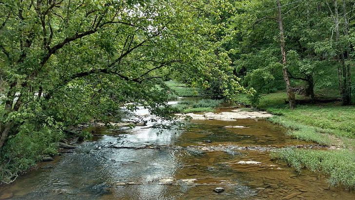 stream, rocks, trees, landscape, river, nature, water