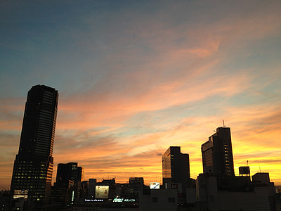 Japão, Shibuya, nuvem, linda, céu, pôr do sol, luz