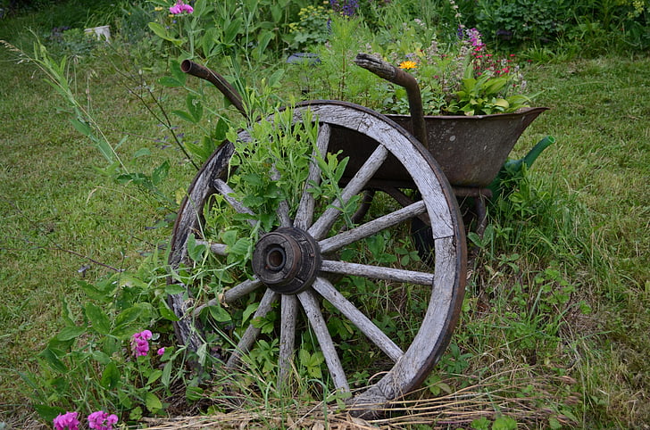 wheel, wheelbarrow, gardening, build, flowers, rusty, wood