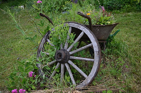 rueda, carretilla, jardinería, construir, flores, oxidado, madera