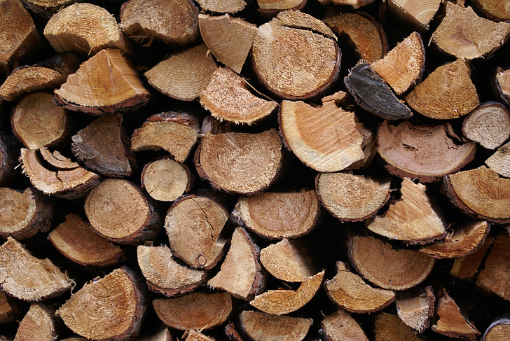 træ, natur, træ, logs