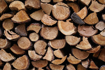 kayu, alam, pohon, log