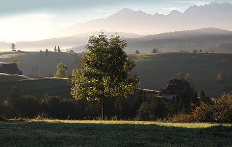 Tatry, Răsărit de soare, Dawn, Tatra poloneză, dimineata, copac, natura