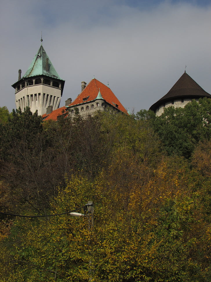 forest, tower, smolenice, slovakia, castle