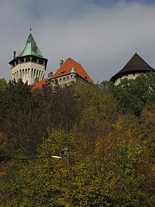 rừng, tháp, smolenice, Slovakia, lâu đài