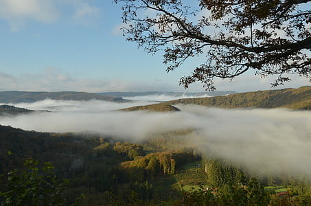 Bỉ, Ardennes, cảnh quan, Thiên nhiên, Thung lũng, cây, sương mù