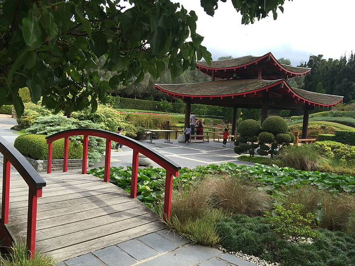japāņu dārzs, tilts, Japāņu, dārzkopība, ainava
