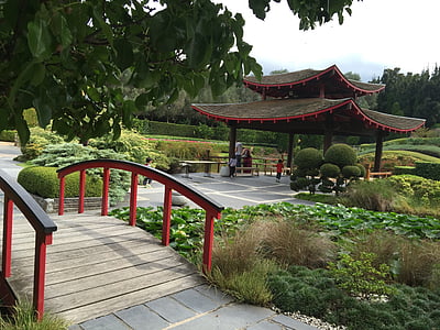 jardin japonais, pont, Japonais, jardinage, paysage