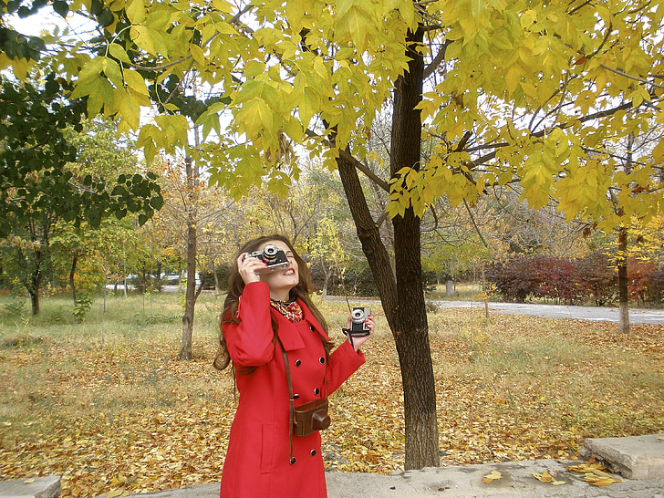 otoño, hojas amarillas, chica, Parque, naturaleza viva, paseo, árboles