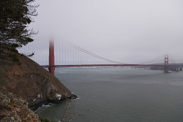 zlatý, Brána, Most, Kalifornie, mlha, mlha, most Golden gate