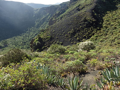 Gamta, Gran Kanarija, vulkanas, kraštovaizdžio, floros