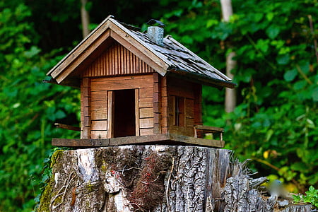 medienos, modelis, Kotedžas, gamtos produktai, mediena - medžiaga, Gamta, namas
