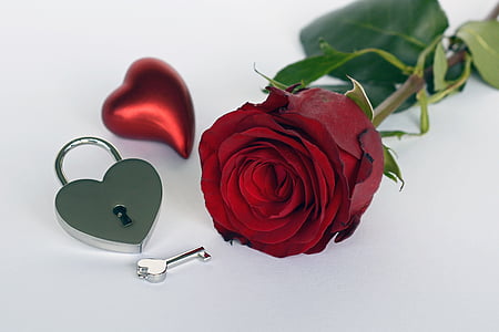Rose, srce, grad, ključ, Odprite, rdeča, rdečo vrtnico
