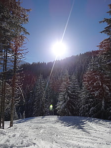 sol, Raios, paisagem de neve, Inverno, montanha, Alpes