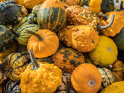 pumpa, hösten, kalebass, hösten dekoration, grönsaker, pumpor hösten, dekorativa squash