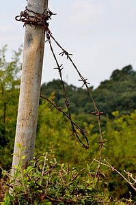 barbed wire, nature, palo, closure
