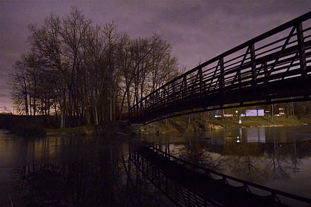 ice, pond, reflection, night, bridge, trees, park