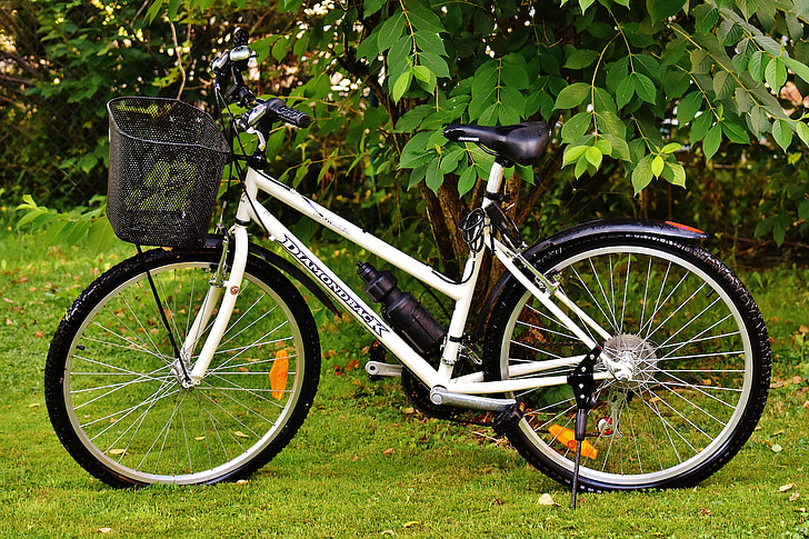 bici, ciclo, ruota, escursioni in bicicletta, Sport, veicolo a due ruote, sano