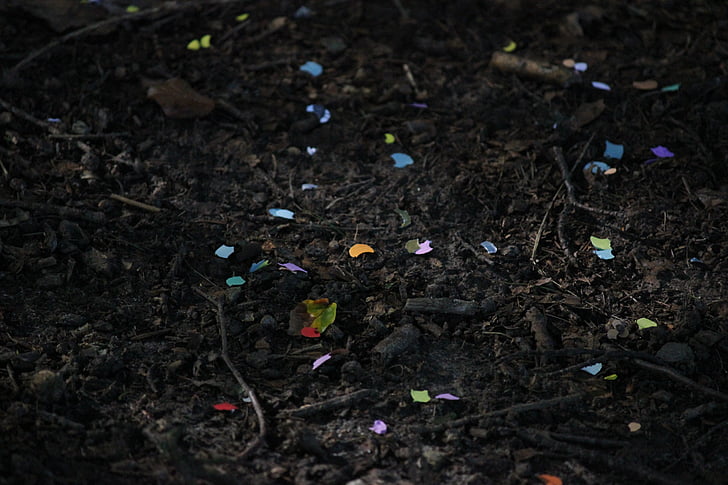 konfetti, farve, jorden