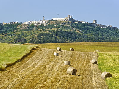 hay, bales, field, farm, countryside, harvesting, rural