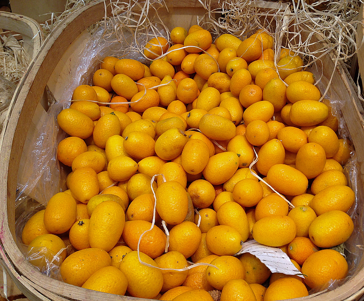 Citrus, kumquats, gyümölcs, citrom