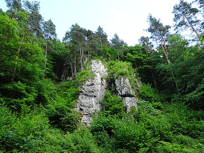 Rocks, träd, landskap, naturen, Polen, Malopolska, vegetation