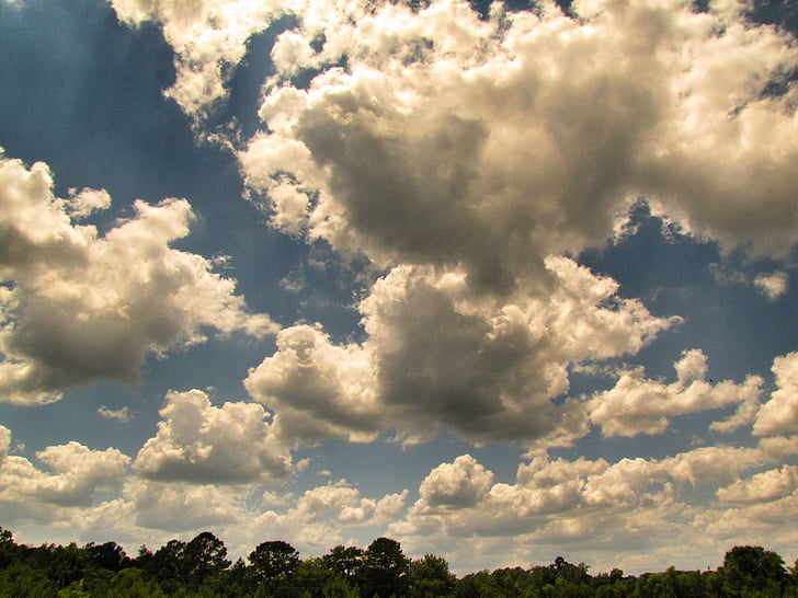 nuvole, cielo, blu, alberi, luce solare bianca, natura, tempo libero