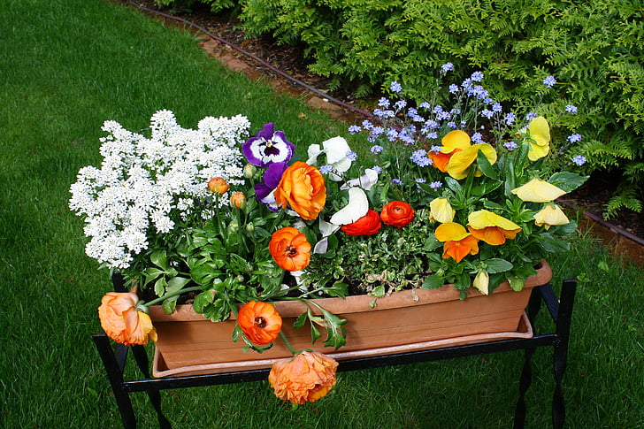 λουλούδια, Κήπος, πολύχρωμο, φύση, πολύχρωμα λουλούδια, διάθεση, το καλοκαίρι