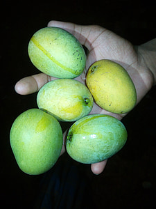 Mango, ovocie, Príroda, čerstvé, jedlo, zdravé, Výživa
