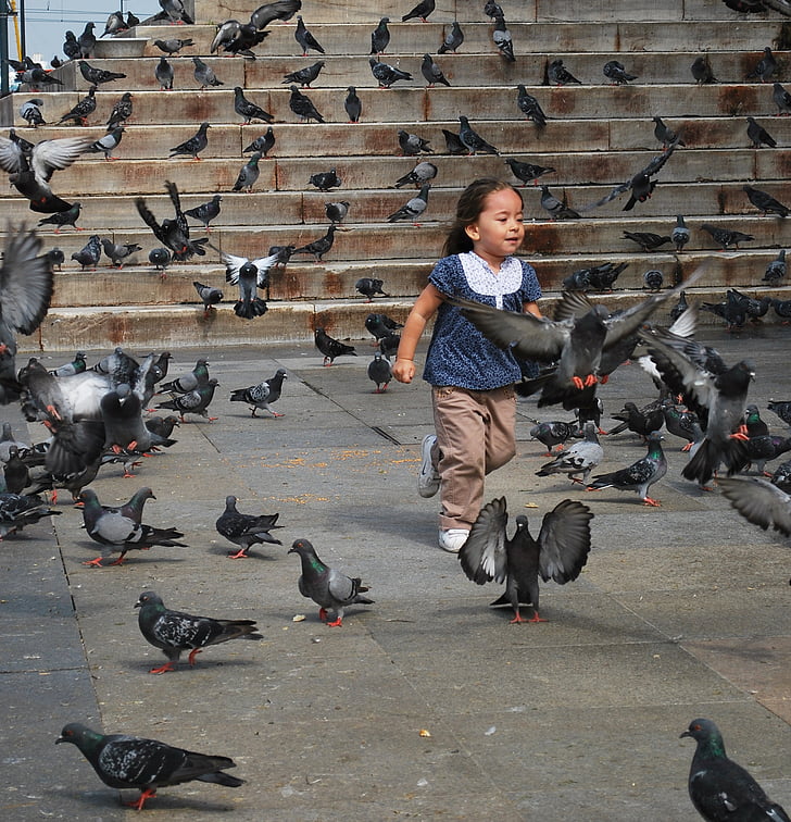 djevojka, golubovi, životinje, trčanje