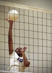 volleyball, player, female, athlete, ball, competition, active
