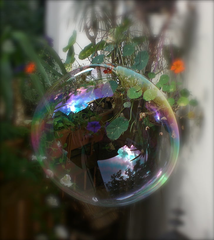 muilo burbulas, smūgis, milžinišką muilo burbulai, padaryti muilo burbulai, puste nustatyti, muiluotu vandeniu, sprogo