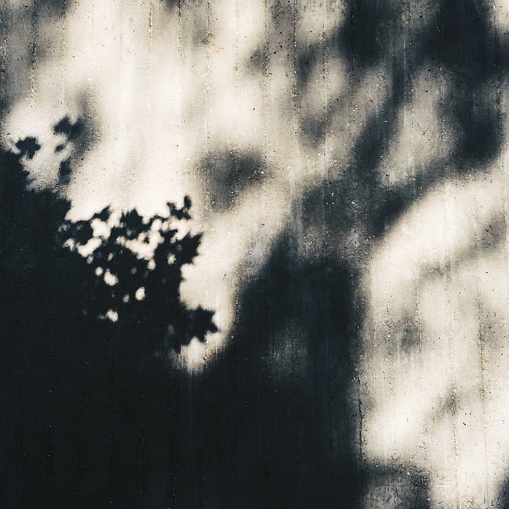 arbres, ombre, gris, surface, art, ombres, Arts