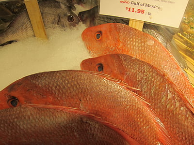fish, snapper, fish market, marine