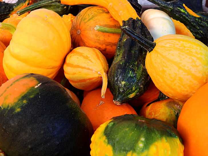 abóbora, cabaça, Outono, decoração, produtos hortícolas, colheita, Helloween