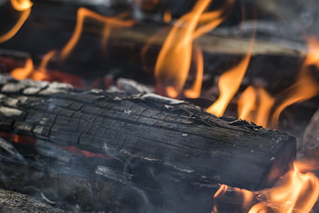 campfire, firewood, fire, wood, burn, heat, nature