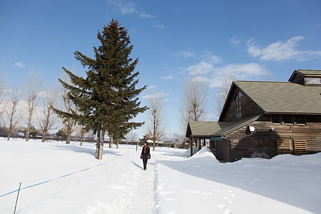 Japan, Hokkaido, scène, berg, toeristische, sneeuw, winter