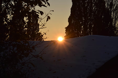 冬の太陽, 雪, 冷ややかです, 自然, 冬, ツリー, フォレスト