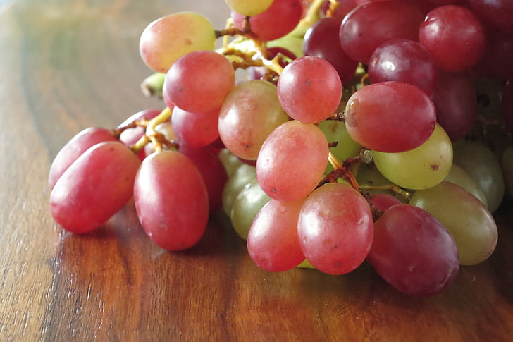 grapes, wine, wine harvest, vine, grapevine, fruit, food