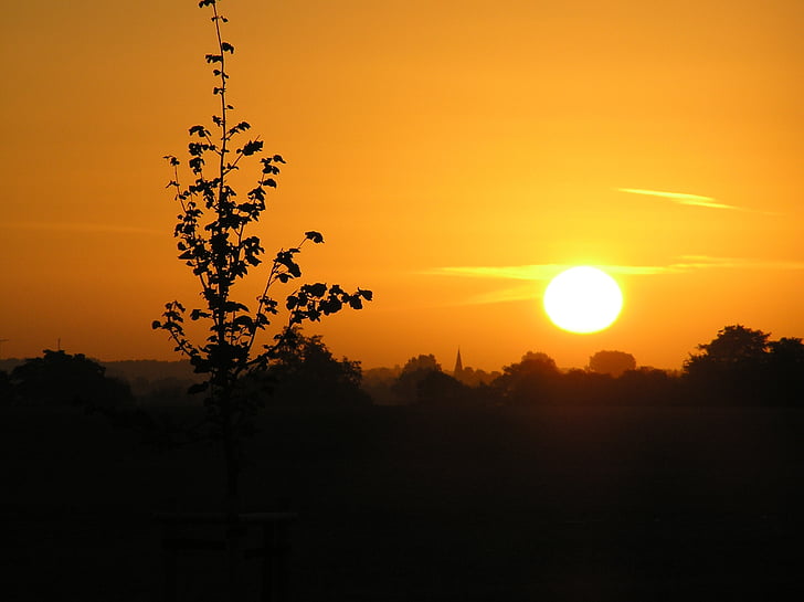 sun, sunrise, skies