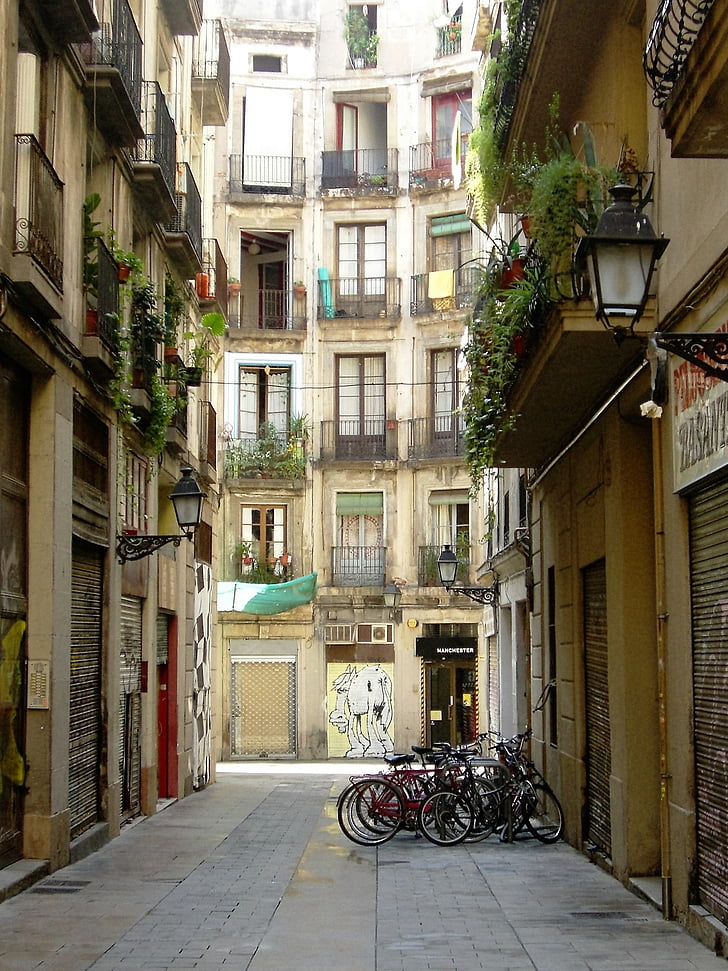 Barcelona, carrer, Rosa, ombra