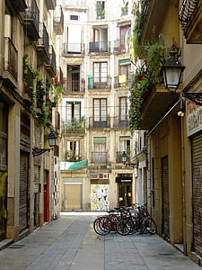 바르셀로나, 거리, 장미, 그림자