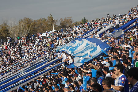 Stadion, sepak bola, bendera, biru, Lapangan, populer, penggemar