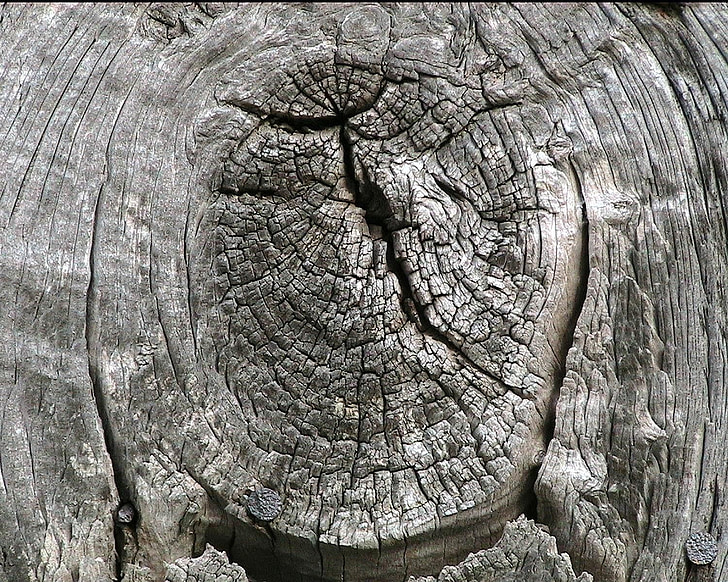 knot, wood, barn, weathered, wooden, timber, rings