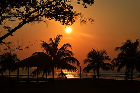 solnedgang, Palm, sjøen, stranden, hav, paradis, reise